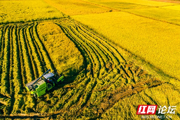 遇见丰收 刘精前.jpg 遇见丰收 刘精前.jpg