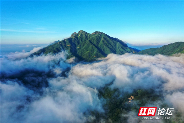 青娥仙 邓焱萍.jpg 青娥仙 邓焱萍.jpg