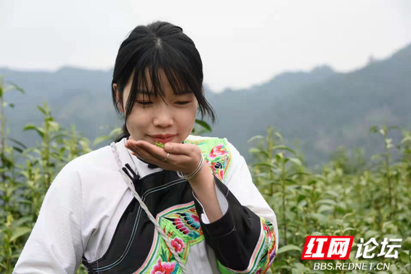 明前茶香春亦浓 石远定.jpg 明前茶香春亦浓 石远定.jpg