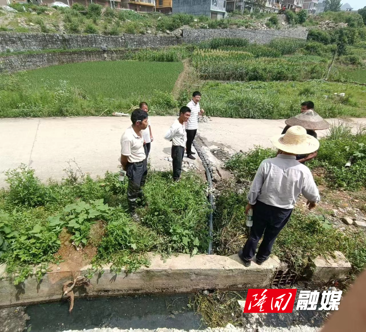 环保.jpg 环保.jpg