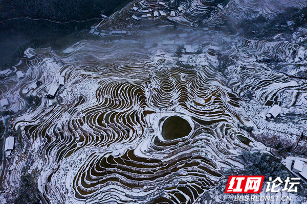 山背梯田雪景。田文国.jpg 山背梯田雪景。田文国.jpg