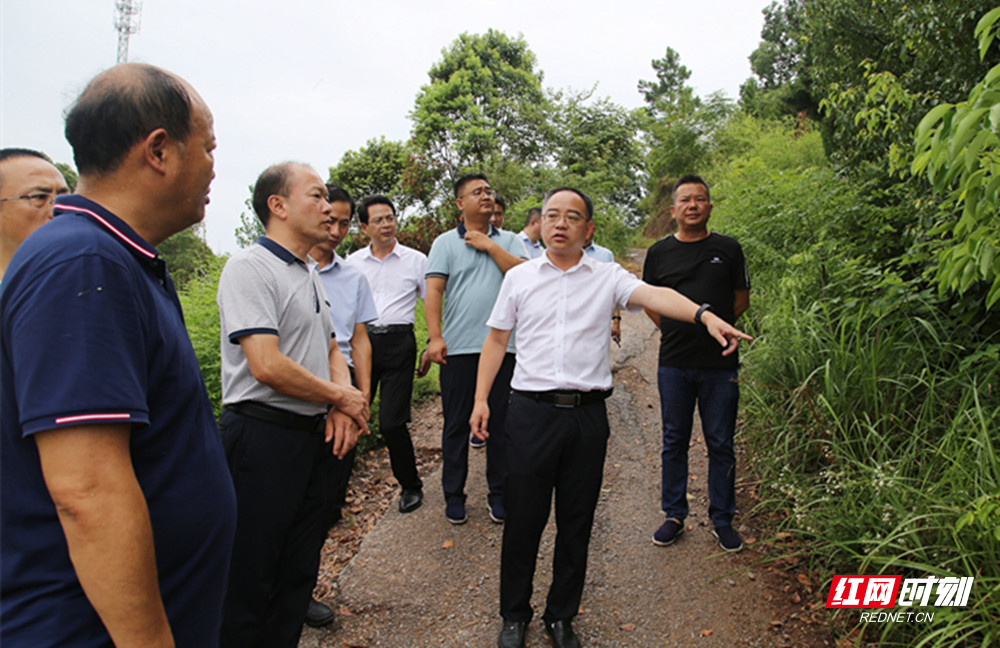 0720刘琦调研墓地整治(2)_副本.jpg