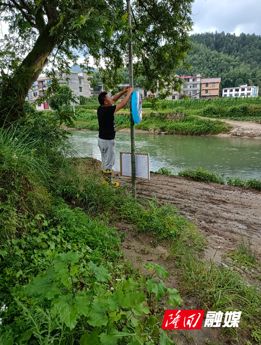 7953ba4a96220a4e5e5016cff50b811.jpg 7953ba4a96220a4e5e5016cff50b811.jpg