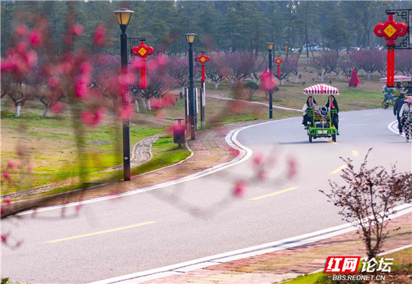 长沙松雅湖之春。稀里马哈.jpg 长沙松雅湖之春。稀里马哈.jpg