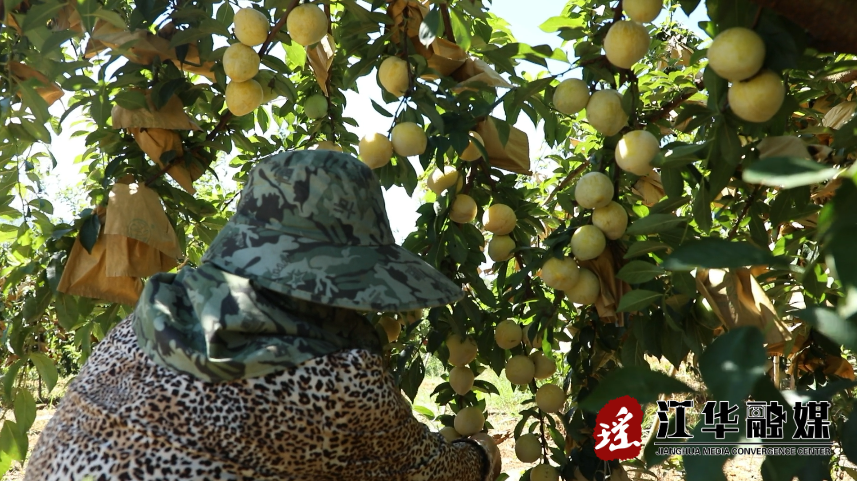微信截图_20220722152452.png