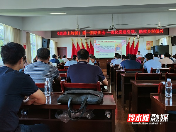 专家走进上岭桥镇专题授课助乡村振兴.jpg