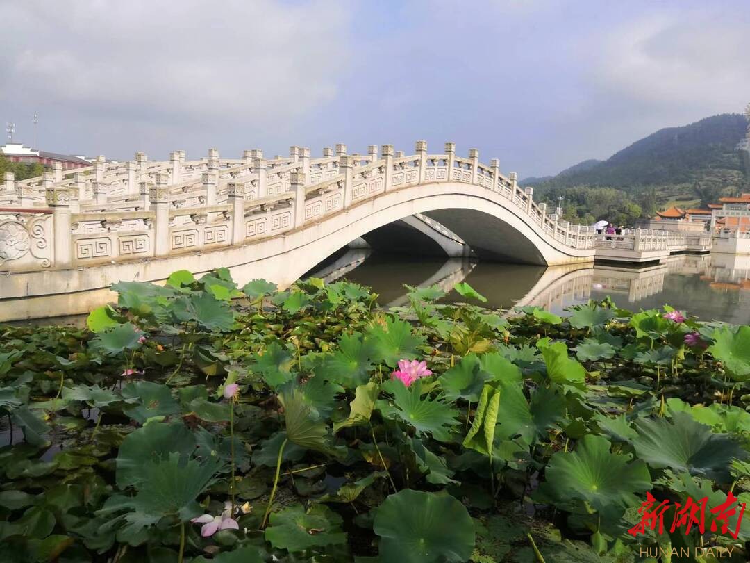 宁乡沩山：“凉”了游客  “热”了经济