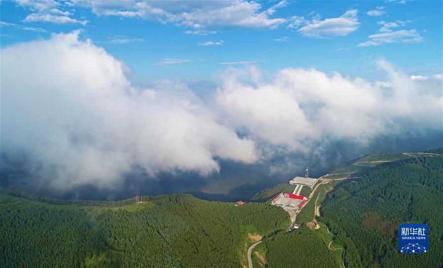 （新华全媒头条·图文互动）（5）习近平的山海情