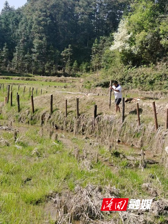 1920b808c61211dbcb06a650e235cd8.jpg 1920b808c61211dbcb06a650e235cd8.jpg