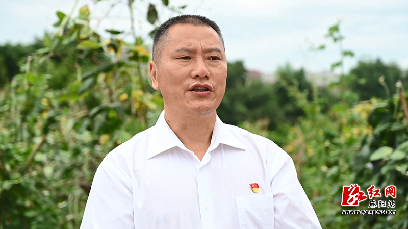 微信图片_20220725162707.png