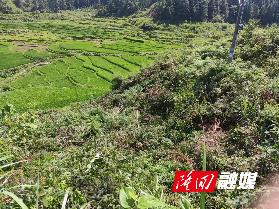 微信图片_20220723085559.jpg 微信图片_20220723085559.jpg