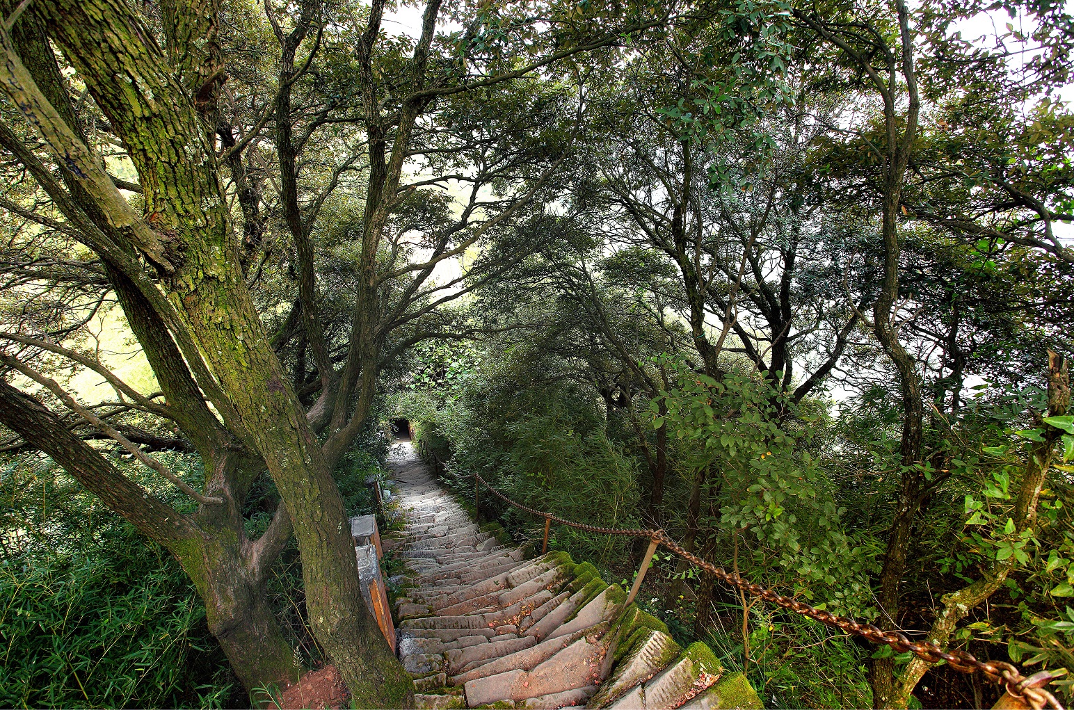 湖湘自然历丨万类霜天竞自由㉕天桥山上这对“姊妹”,美了2000多年 湖湘自然历丨万类霜天竞自由㉕天桥山上这对“姊妹”,美了2000多年