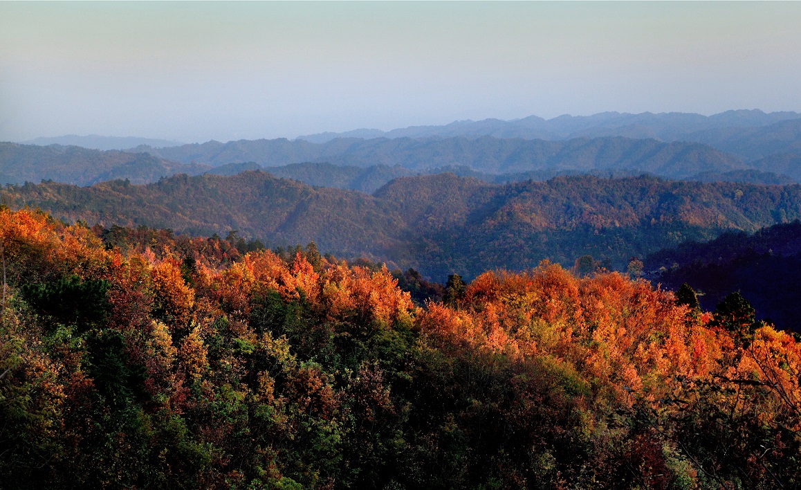 湖湘自然历丨万类霜天竞自由㉕天桥山上这对“姊妹”,美了2000多年 湖湘自然历丨万类霜天竞自由㉕天桥山上这对“姊妹”,美了2000多年