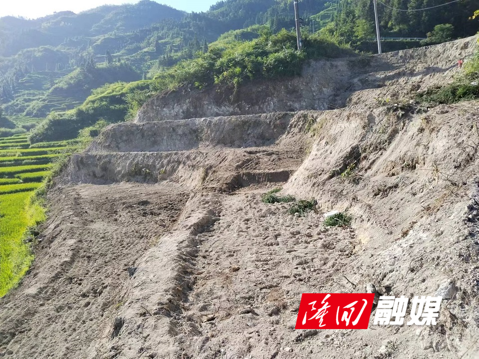 微信图片_20220723085608.jpg 微信图片_20220723085608.jpg