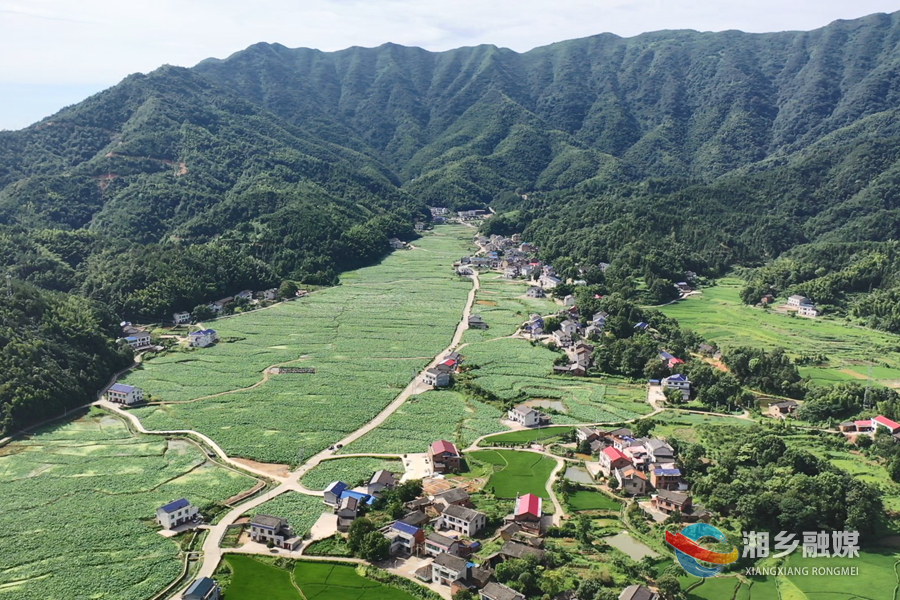 俯瞰栗山镇荆泉村。.jpg