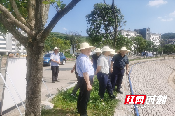 湖南省水利厅调研慈利县水利建设.jpg