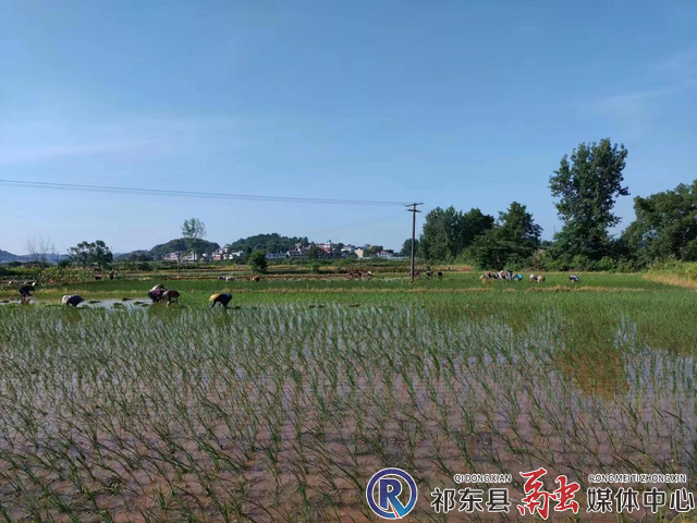 w_图片1.png