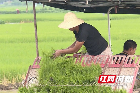 90909.marked.jpg 90909.marked.jpg