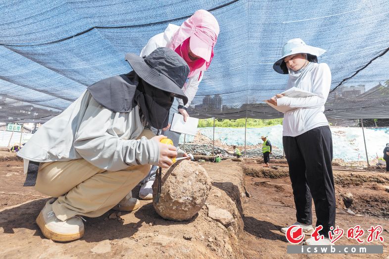 　　三位考古队员正在对出土文物进行测量并记录。 　　长沙晚报全媒体记者 董阳 摄