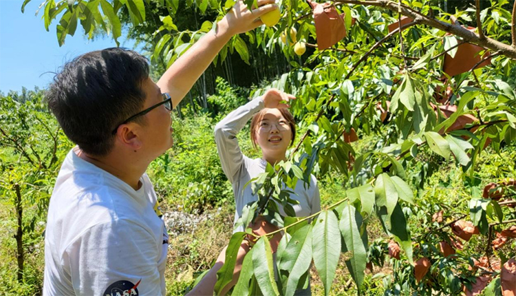 未标题-1.jpg 未标题-1.jpg