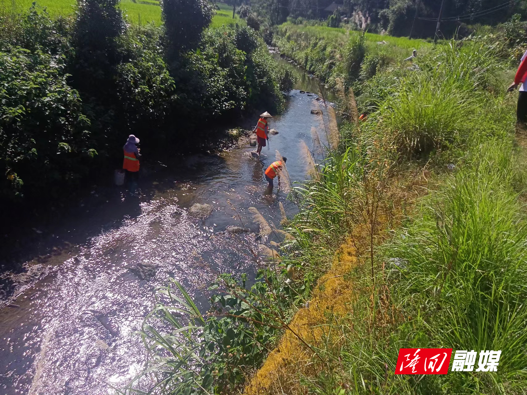 55a5c57b44966c78cf5a13e5a74d105.jpg 55a5c57b44966c78cf5a13e5a74d105.jpg