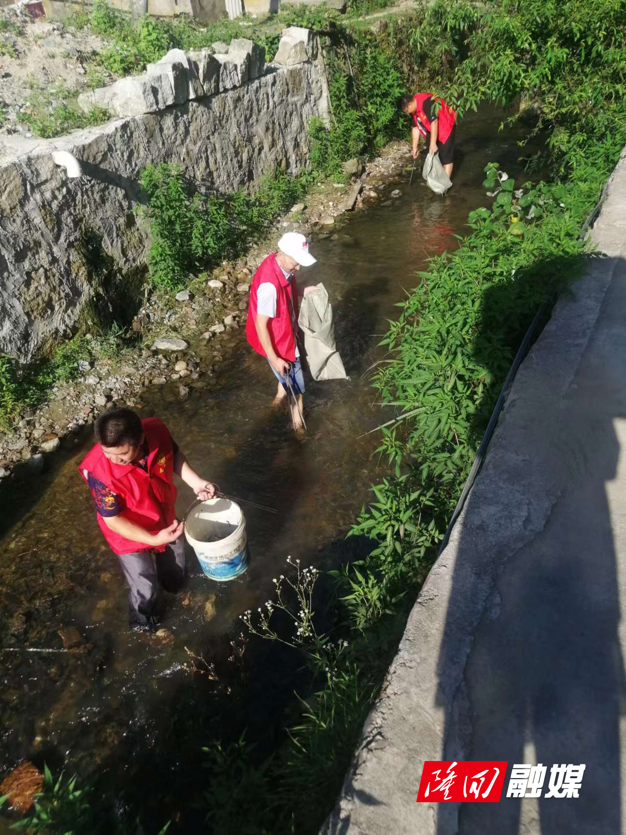 d84276658d37052565d8f2e3804ff6c.jpg d84276658d37052565d8f2e3804ff6c.jpg