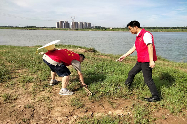 沿江拾取岸边垃圾.png