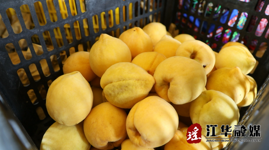 微信截圖_20220728101058.png