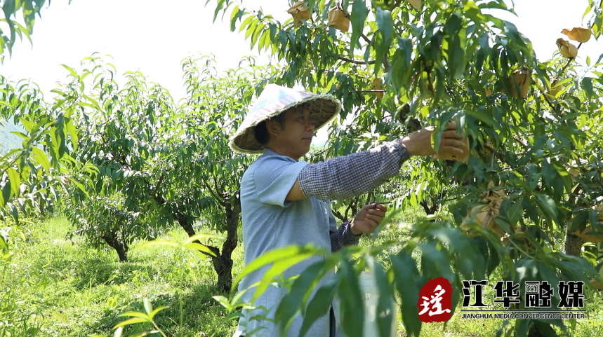 微信截圖_20220728101002.png