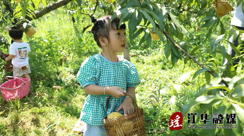 微信截圖_20220728100929.png