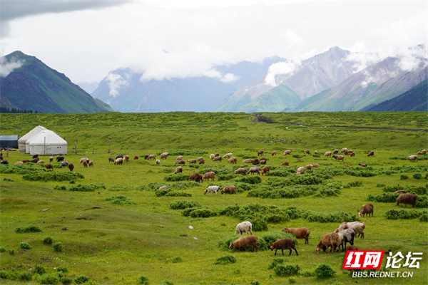 新疆14.jpg 新疆14.jpg