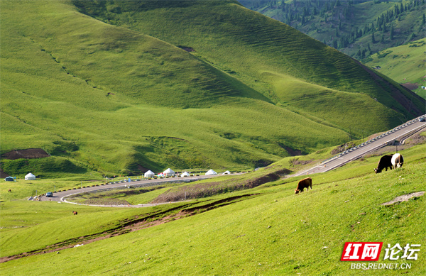 新疆25.jpg 新疆25.jpg