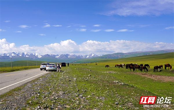 新疆19.jpg 新疆19.jpg