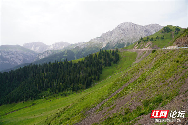 新疆28.jpg 新疆28.jpg