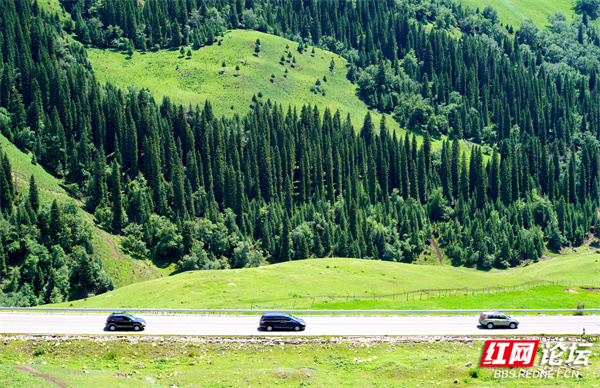 新疆17.jpg 新疆17.jpg