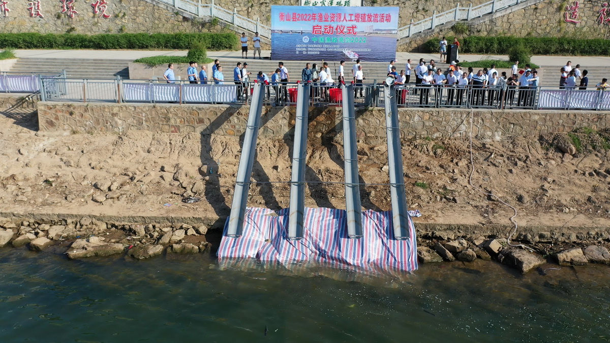 增殖放流.jpg