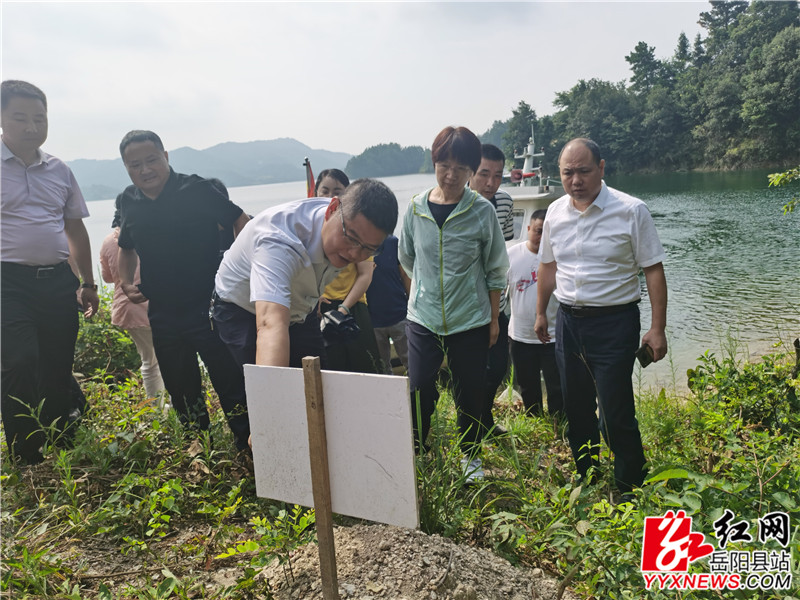 调研组在铁山湖村松材线虫病防治现场查看_副本.jpg