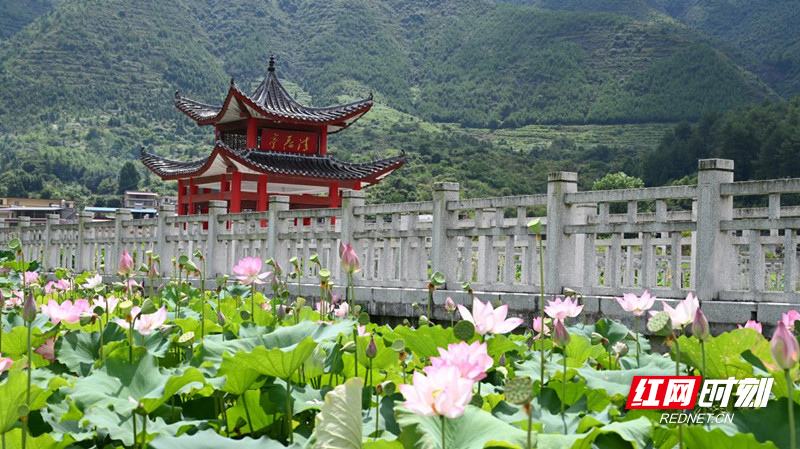 图片1_副本.jpg