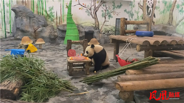 Still0730_00085.jpg Still0730_00085.jpg