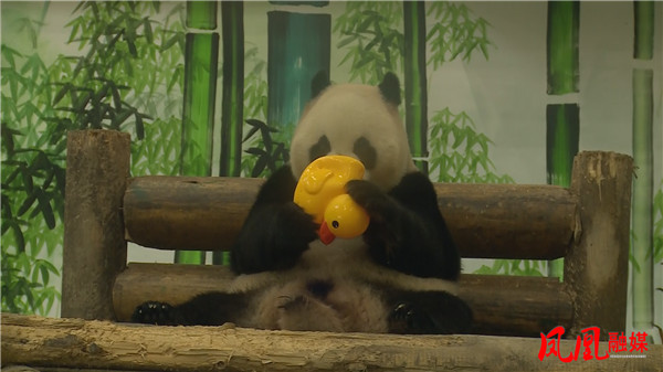 Still0730_00096.jpg Still0730_00096.jpg