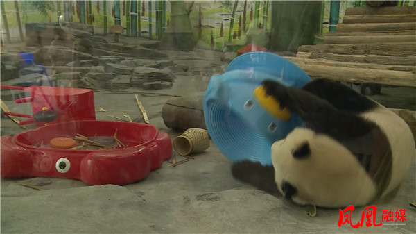 Still0730_00094.jpg Still0730_00094.jpg