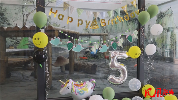 Still0730_00115.jpg Still0730_00115.jpg