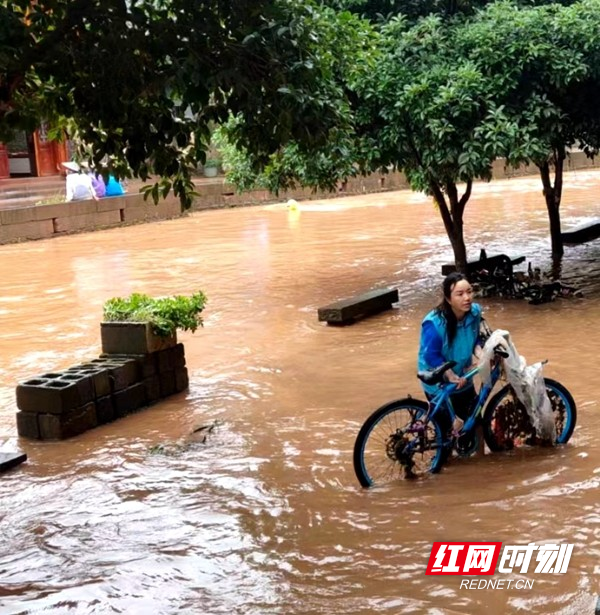 杨芬吃力把浸泡在水中的自行车搬到高处。.jpg
