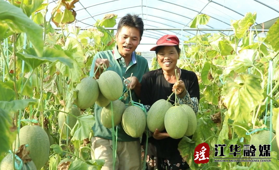 微信截图_20220801160506.png