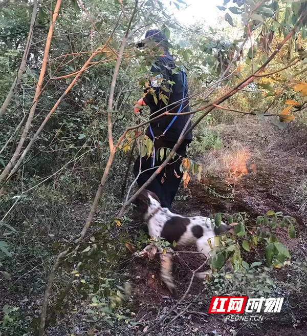 微信图片_20220802164402.jpg