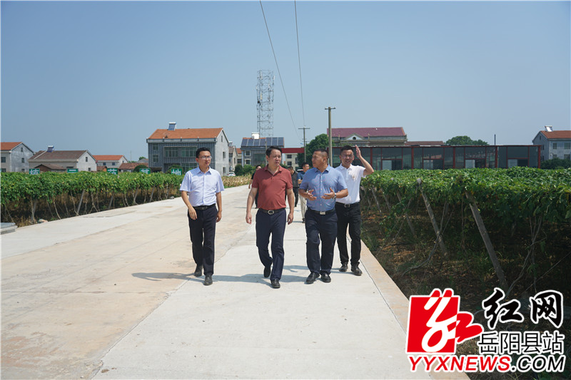 中洲乡宾海农业合作社了解瓜蒌、黄精套种情况和中医药材产业发展情况。.jpg