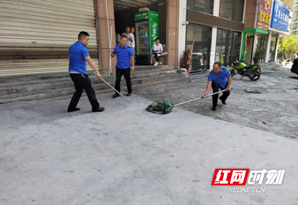 图片3.jpg