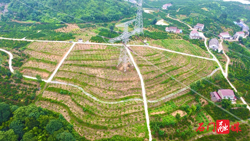 1石门县新关镇松林村柑橘园艺场航拍图.jpg 1石门县新关镇松林村柑橘园艺场航拍图.jpg