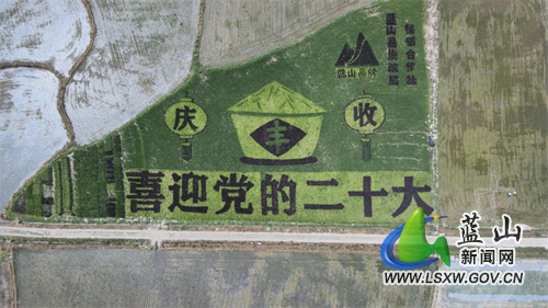 微信图片_20220803154357.jpg