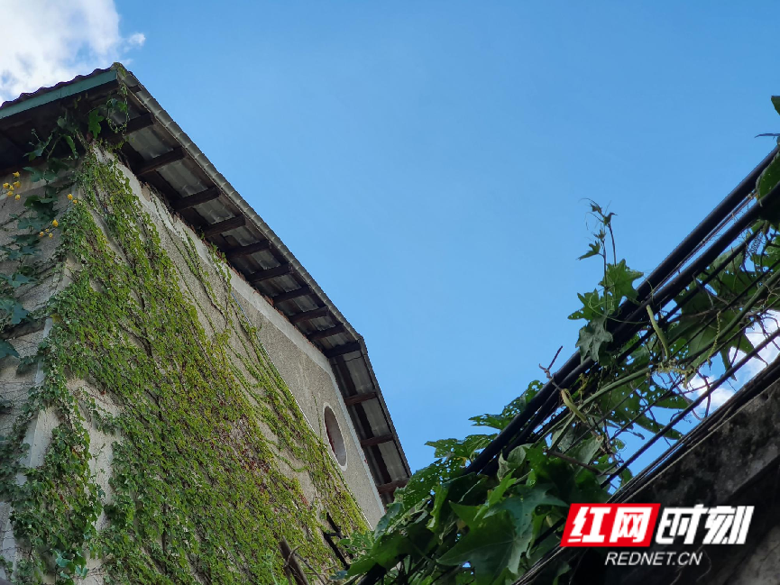 WPS图片.png WPS图片.png